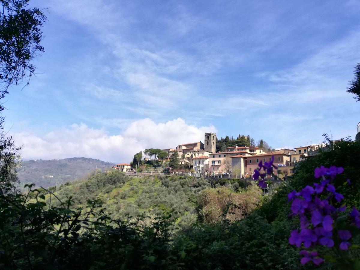 Casa Dalia Daire Montecatini Terme Dış mekan fotoğraf